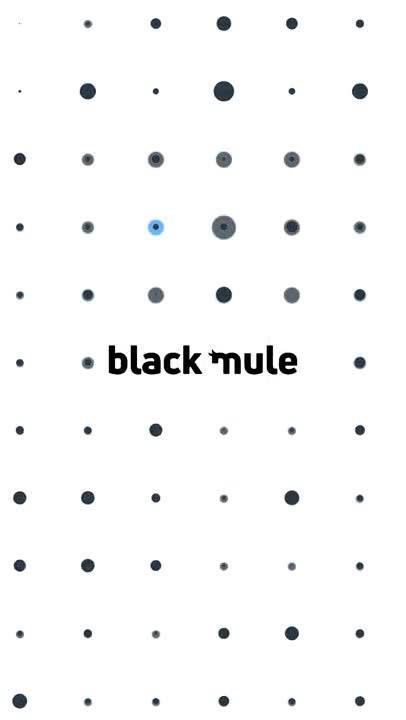 Black Mule project image